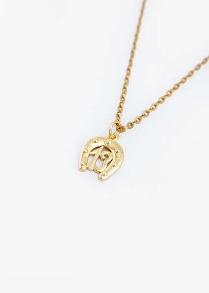13th Horseshoe Necklace